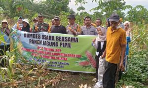 IMG-20251025-WA0017