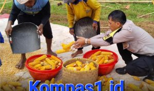 FB_IMG_1772169820230