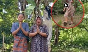 IMG-20260203-WA0010~2