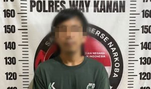 IMG-20260330-WA0004~2