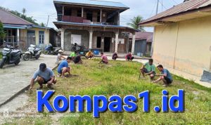 CREATOR: gd-jpeg v1.0 (using IJG JPEG v62), quality = 82?