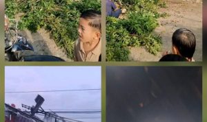 IMG-20260404-WA0005~2