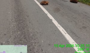 IMG-20260415-WA0011~2