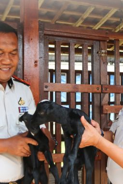 Laskar Farm Lapas Karawang Disulap Jadi Mini Food Estate, Kakanwil Ditjenpas Jabar Beri Apresiasi