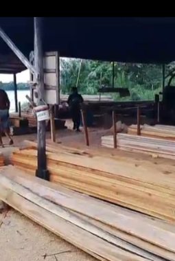 Negara Dinilai Kalah, Warga Soroti Lemahnya Penegakan Hukum Kehutanan di Kubu Raya