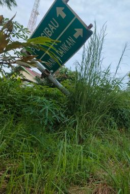 Papan Penunjuk Arah Putussibau–Nanga Dangkan di Desa Bongkong Nyaris Tumbang dan Tertutup Semak Belukar, Pengguna Jalan Prihatin