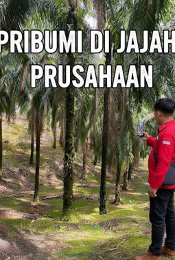 Kaya Hasil Bumi, Masyarakat Pribumi Kalimantan Merasa Belum Menjadi Tuan di Tanah Sendiri