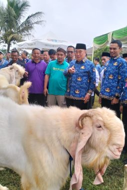 Bazar Hewan Qurban Tanggamus 2026 Dibuka, Bupati Borong 10 Kambing dari Peternak Lokal