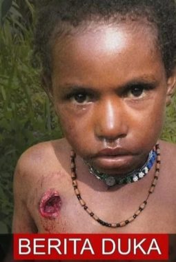 Air Mata Puncak Jaya: Ketika Masa Depan Papua Gugur Sebelum Berkembang