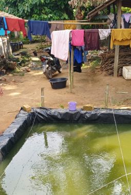 Bhabinkamtibmas Buay Bahuga Dampingi Budidaya Lele Warga untuk Program Ketahanan Pangan