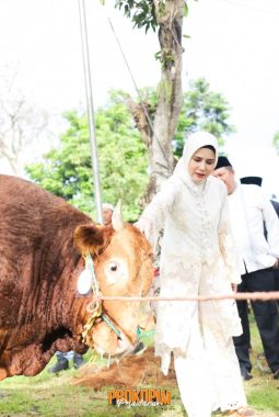 Idul Adha 1447 H, Bupati Pesawaran Serukan Semangat Pengorbanan dan Kepedulian Sosial