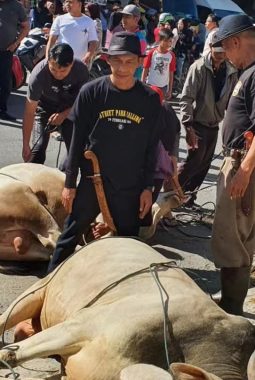 Ketua Komisi III DPRD Sungai Penuh Tole Hadiwarso Ikut Prosesi Kurban Bersama Warga Desa Gedang