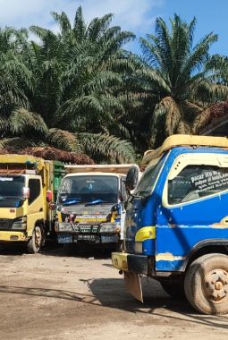 Sopir dan Petani Kecil Harapkan Transparansi Penerimaan Buah di PKS Nanga Silat