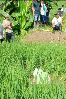 Mayat Laki-laki Ditemukan di Area persawahan Lebak Gedong, Warga Geger