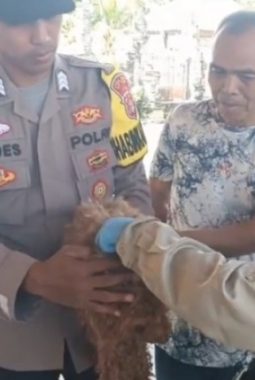 Semangat Hari Bhayangkara ke-80, Tiga Pilar Kampung Bali Sadhar Utara Sinergi Cegah Penyebaran Penyakit Rabies