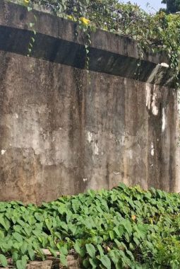 Jembatan Desa Landau Badai Tak Kunjung Selesai, Warga Desak Pemerintah dan Wakil Rakyat Bertindak Nyata