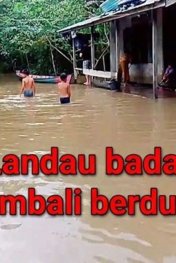 Silat Hulu Kembali Dikepung Banjir, Warga Pedalaman Menanti Solusi Nyata