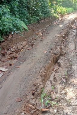 WARGA KELUHKAN KONDISI JALAN DESA MAYAK YANG RUSAK PARAH AKTIVITAS TERHAMBAT”
