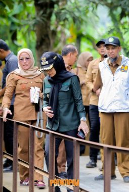 Bupati Nanda Tinjau Sejumlah Infrastruktur di Kecamatan Punduh Pedada dan Marga Punduh