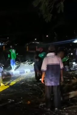 Pohon Flamboyan Tumbang di Jatinangor, 4 Pengendara Tertimpa, 2 Kritis