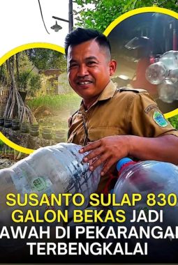 Menenun Hijau di Atas Plastik: Kisah Susanto Menyulap Ratusan Galon Bekas Menjadi Sawah Pekarangan