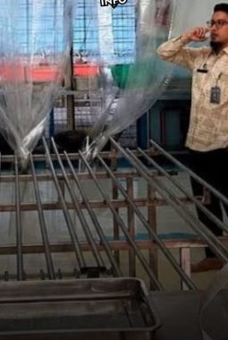 BGN Hentikan Sementara Dapur SPPG Karangturi Semarang Pasca 707 Orang Terdampak Dugaan Keracunan MBG