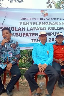 Sekolah Lapang Kelompok Tani Lampung Utara Jadi Ruang Penguatan Kapasitas dan Praktik Pertanian