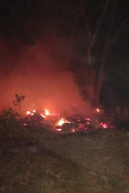 Limbah Kayu Lapuk di TPK Kajen Terbakar, Diduga Berasal dari Bekas Pembakaran Sampah