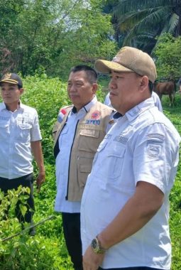 Sekda Tanggamus Tinjau Tanggul Way Belu, Siapkan Penanganan Darurat